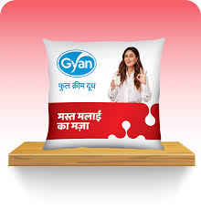 Gyan Milk 500 Ml